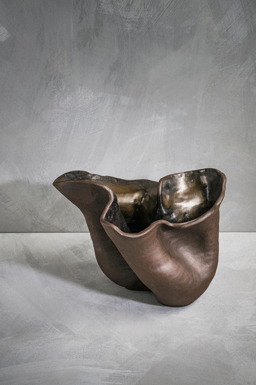 Three-Chambered Heart — view 3