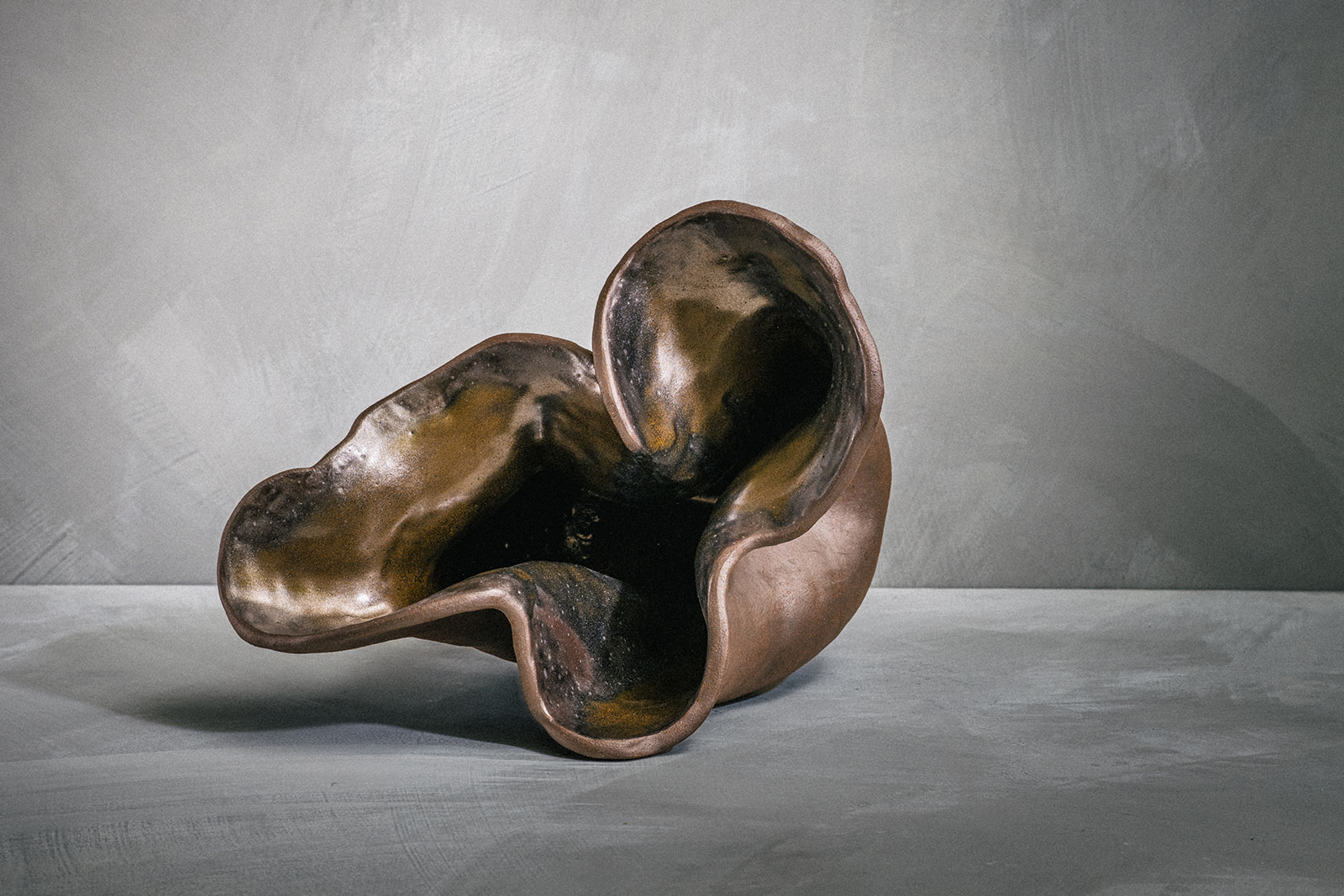 Three-Chambered Heart — view 4