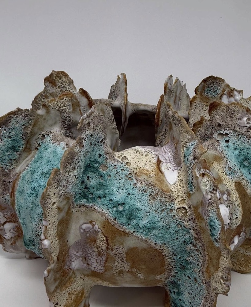 Sea Urchin — view 2