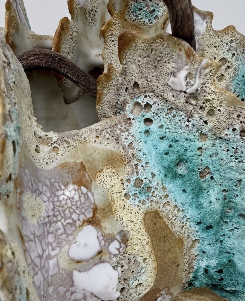 Sea Urchin — view 3