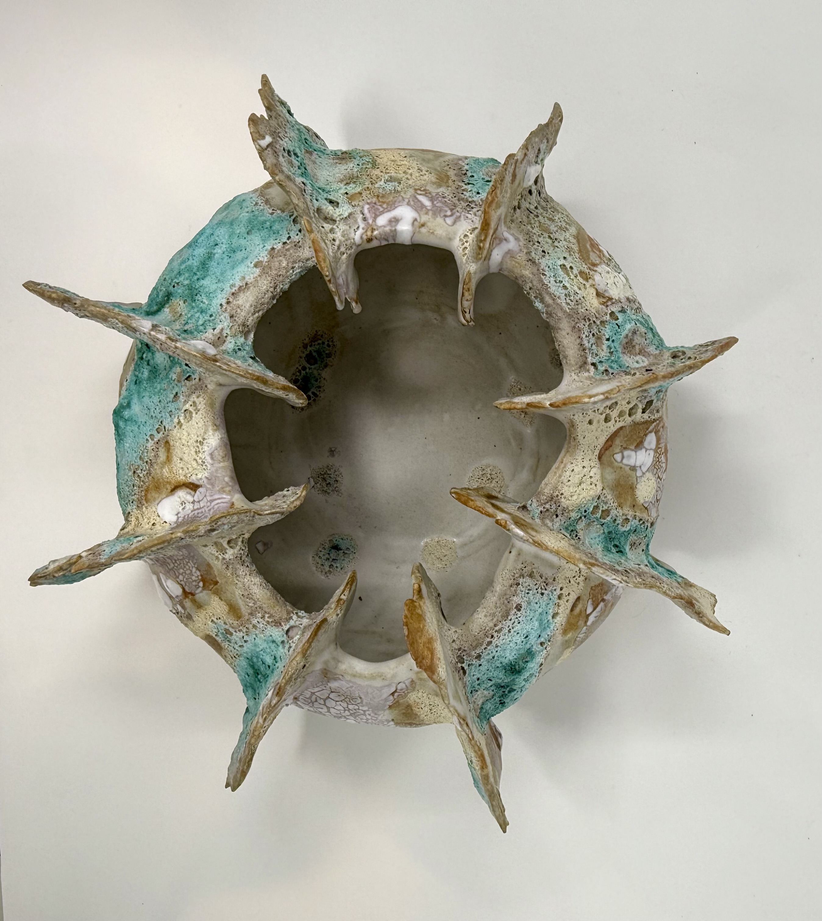 Sea Urchin 1 — view 2