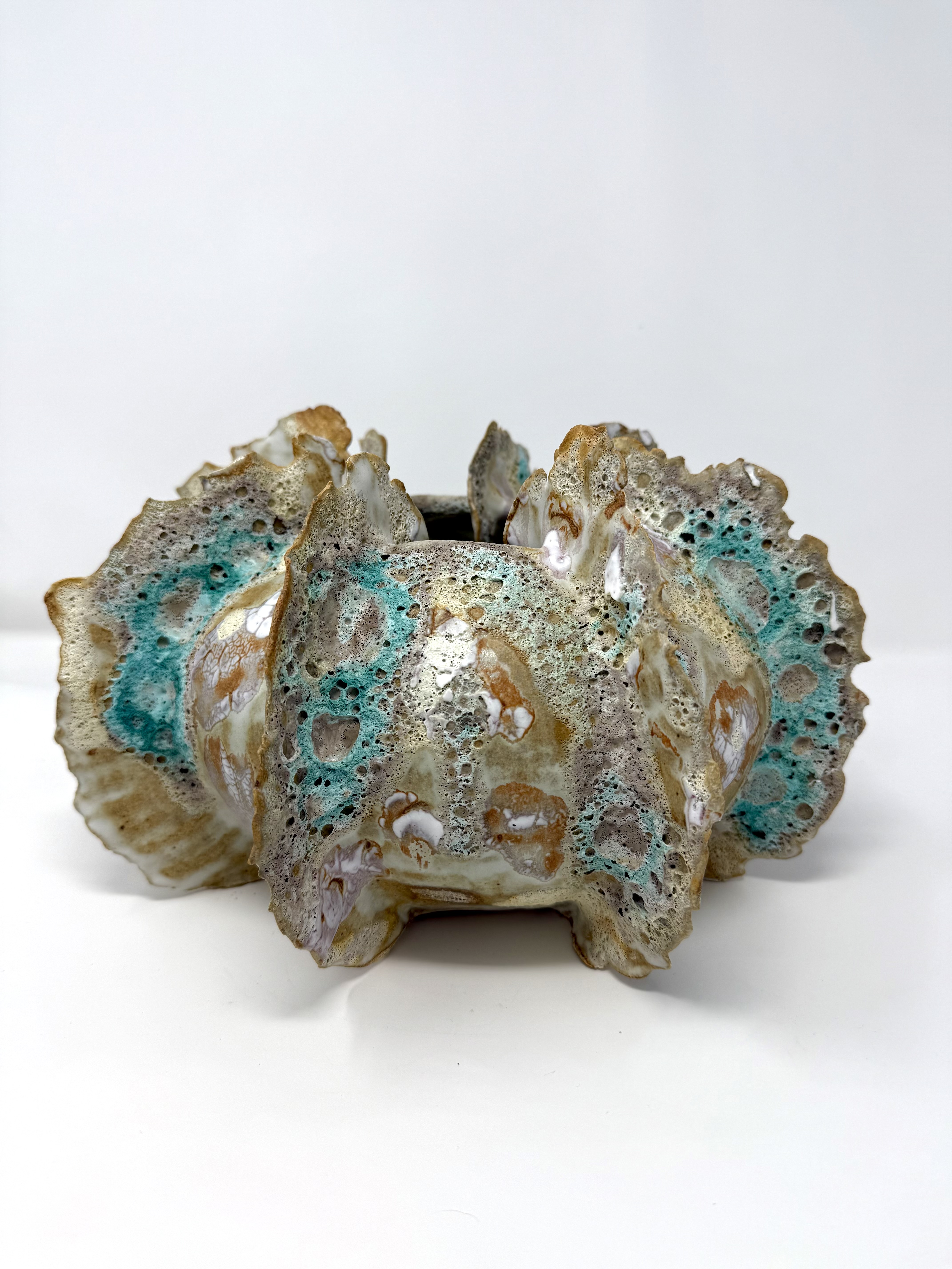 Sea Urchin 1 — view 3