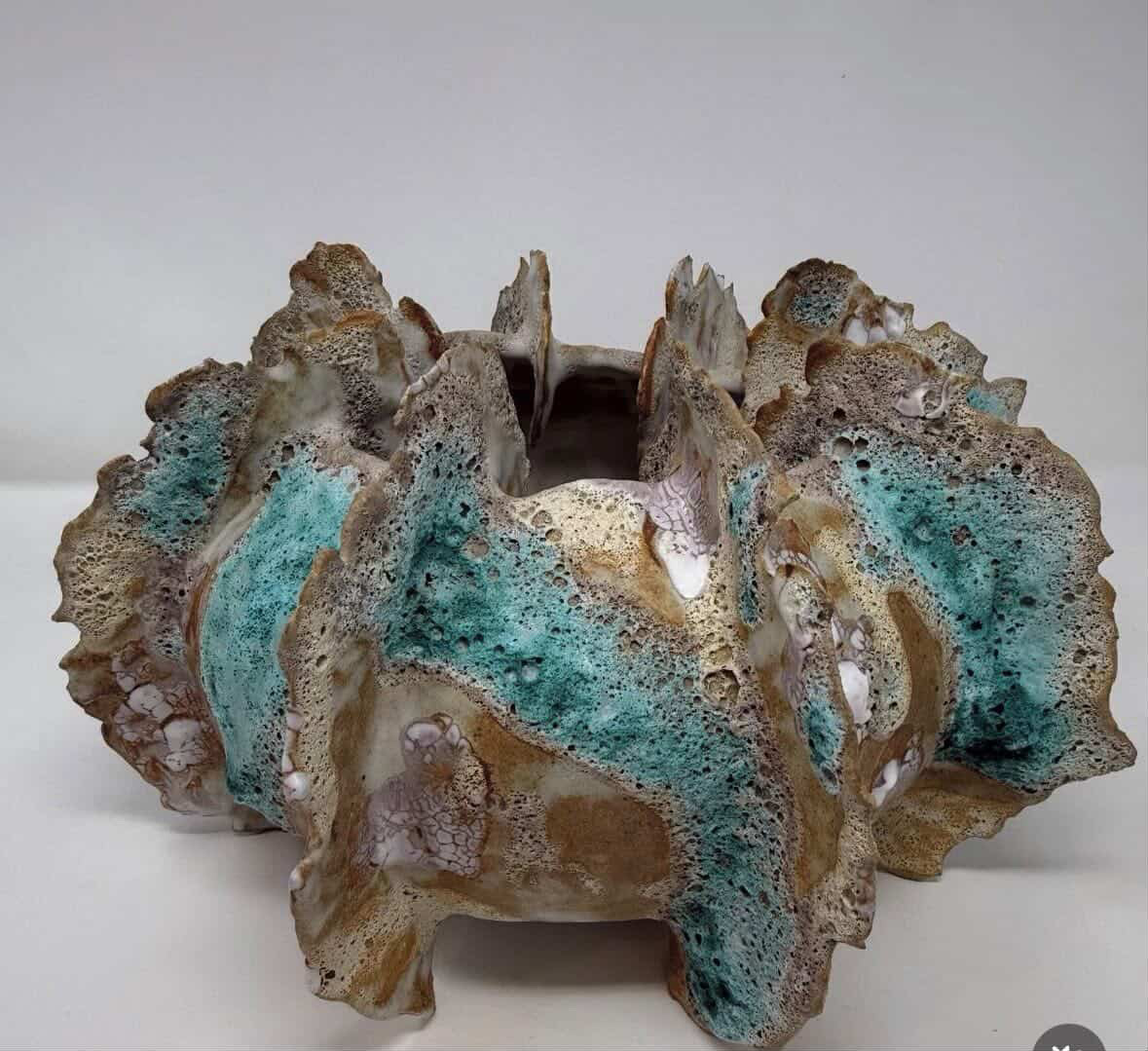 Sea Urchin 1